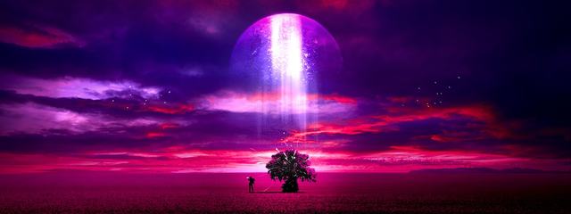 星际体育官网登录app