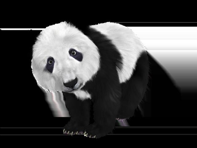 《致富经》 20230512 昆仑山上的牧羊人