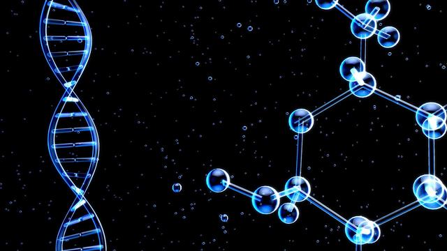 R星每日大赛51吃瓜黑料安卓版二维码