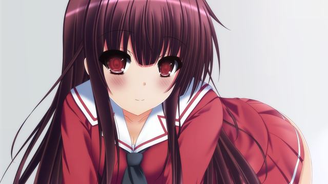 .xxxx免费版-.xxxx最新版v.19安卓版_ipetwant安卓网