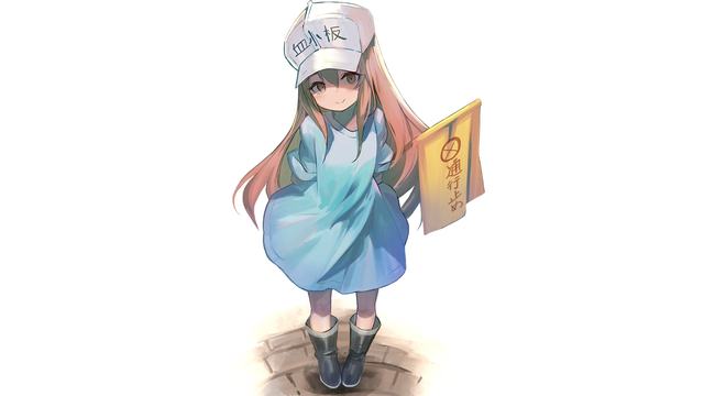 jizz欧美官方版免费下载-jizz欧美最新appvv54安卓版_ipetwant安卓网