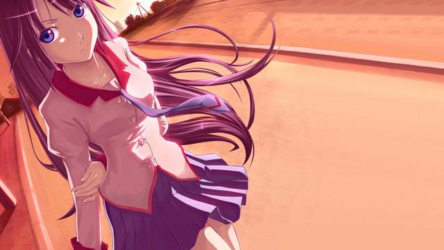 日本宇都宫市捕获一头游荡多日的黑熊